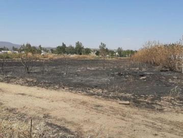 TERRENO EN VENTA EN TALA JALISCO