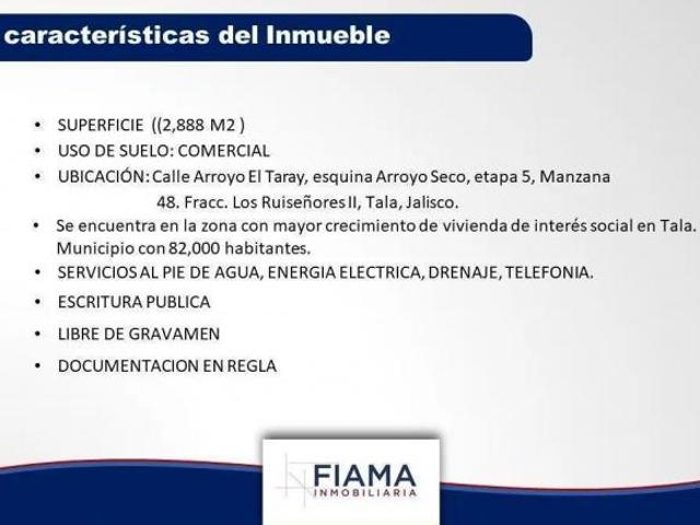 TERRENO EN VENTA EN TALA,JALISCO VER. DISP FA
