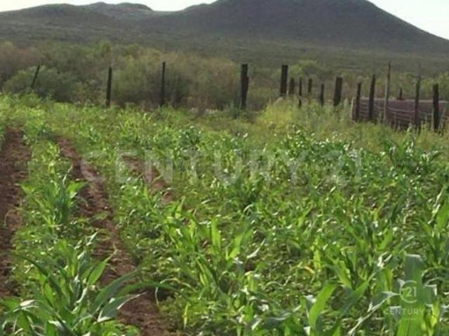 TERRENO EN VENTA EN TALAMANTES, CD DELICIAS, CHIH