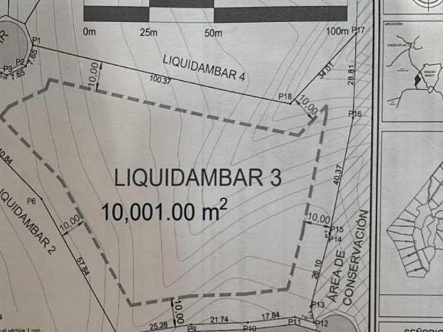 Terreno en Venta en Tapalpa – Fraccionamiento Mazati