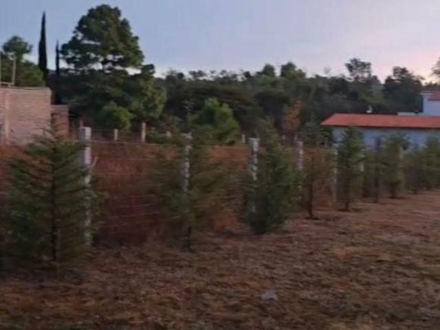 TERRENO EN VENTA EN TAPALPA, JALISCO CERCA DEL PUEBLO MAGICO
