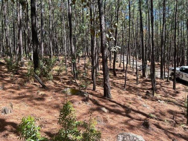Terreno en Venta en Tapalpa Mazati Reserve Condor 2A