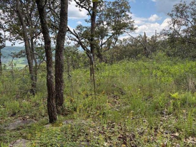 Terreno en venta en Tapalpa, Tapalpa Jalisco