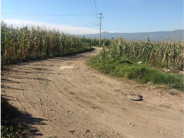 Terreno en venta en Techichilco, Cocotitlán, México