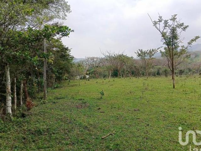 Terreno en venta en Tebanca Catemaco, Veracruz