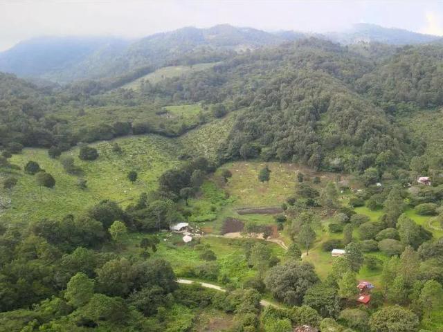 Terreno en venta en Teopisca Centro, Teopisca, Chiapas