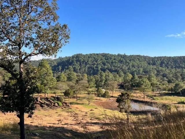 Terreno en venta en Teopisca Centro, Teopisca, Chiapas