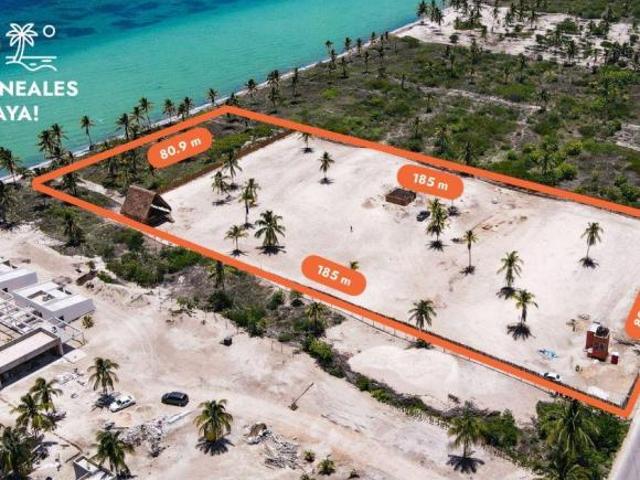 TERRENO EN VENTA EN TELCHAC PUERTO YUCATAN