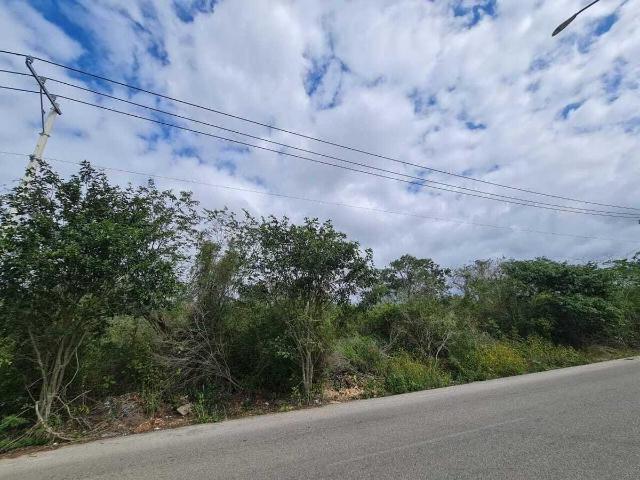 Terreno en venta en Temoz?n Norte, M?rida Yuc