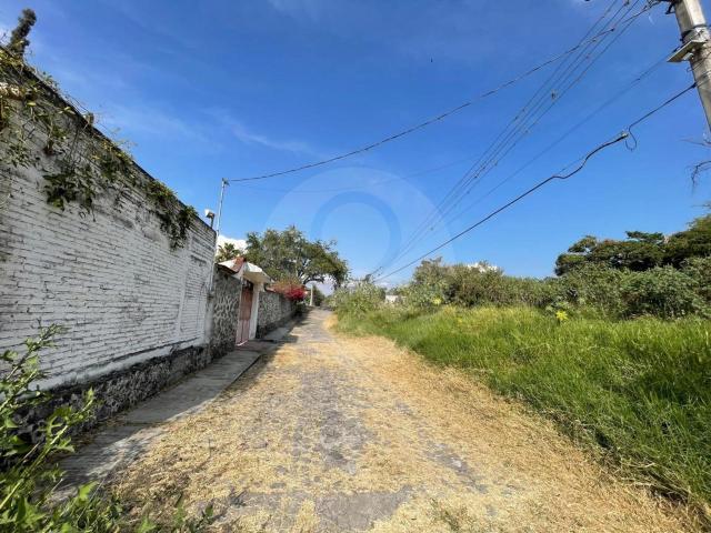 TERRENO EN VENTA EN TEMIXCO