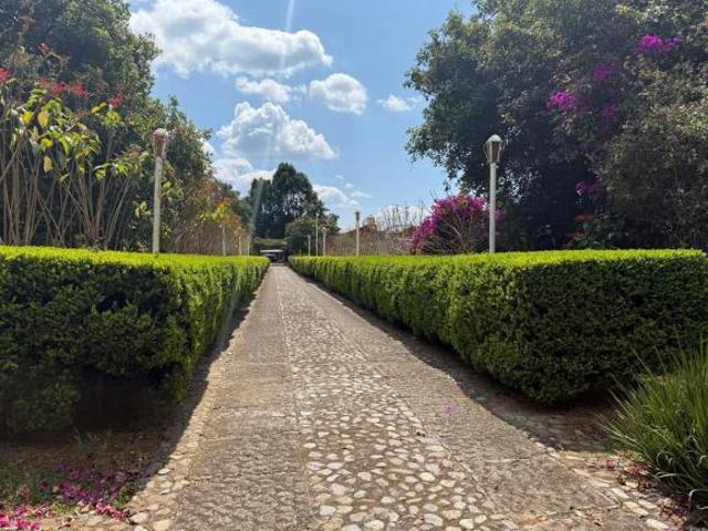 Terreno en Venta en Tenancingo de Degollado, Edo. Méx
