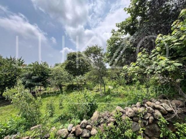 Terreno en venta en Tepoztlan