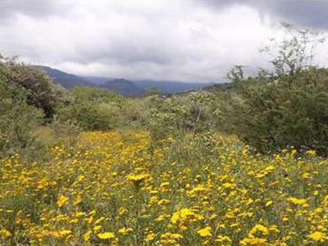 Terreno en venta en Tepoztlan