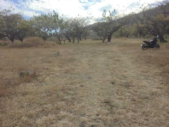 Terreno en venta en Tepetlixpita, Totolapan, Morelos