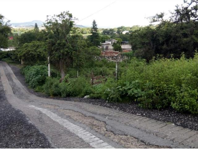 Terreno en venta en Tepetzingo, Emiliano Zapata, Morelos