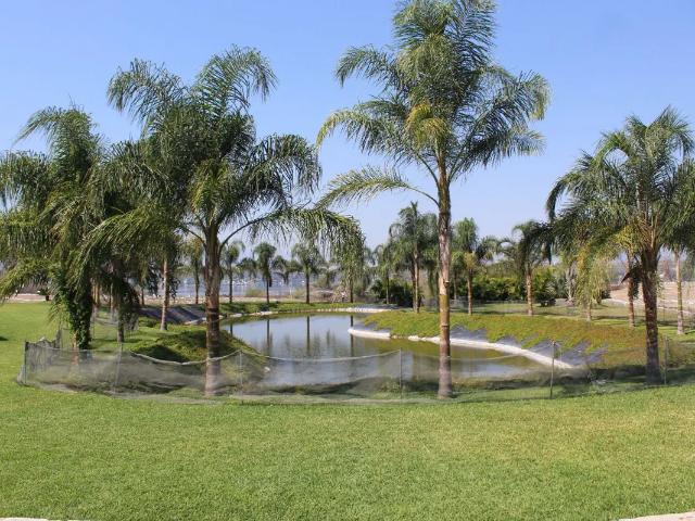 Terreno en venta en Tequesquitengo, Jojutla, Morelos