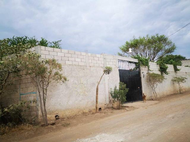 Terreno en venta en Tetelcingo, Cuautla, Morelos