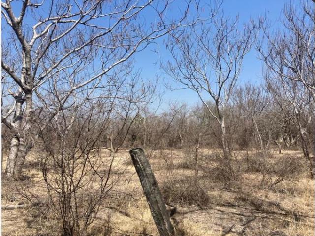 Terreno en venta en Tetelilla, Jonacatepec de Leandro Valle, Morelos