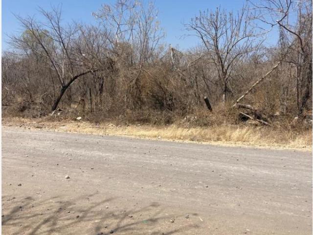 Terreno en venta en Tetelilla, Jonacatepec de Leandro Valle, Morelos