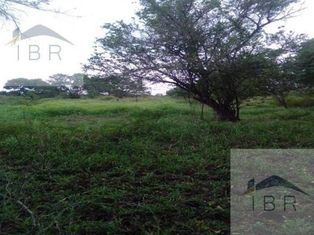 Terreno en Venta en Texistepec, Ver