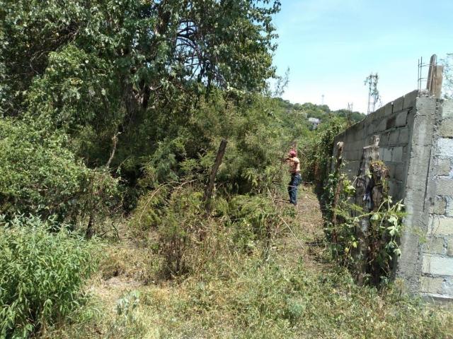 Terreno en venta en Ticumán, Tlaltizapán de Zapata, Morelos