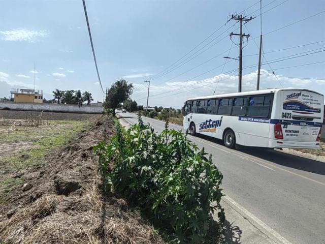 Terreno en venta en Tlaltenango, Tlaltenango, Puebla