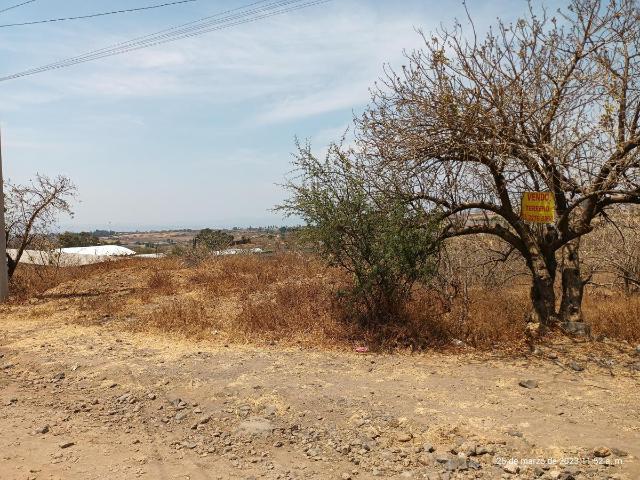 Terreno en venta en Tlaltetelco San Miguel Tlaltetelco, Atlatlahucan, Morelos