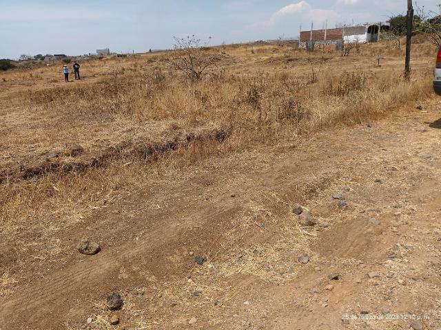 Terreno en venta en Tlaltetelco San Miguel Tlaltetelco, Atlatlahucan, Morelos