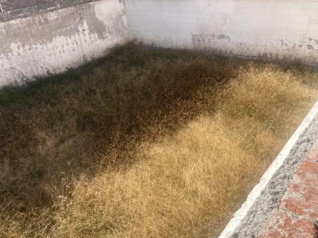 Terreno en venta en Tlalpan Centro, Tlalpan, Ciudad de México
