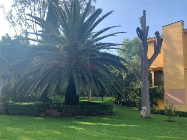 Terreno en venta en Tlalpan. Plano y arbolado