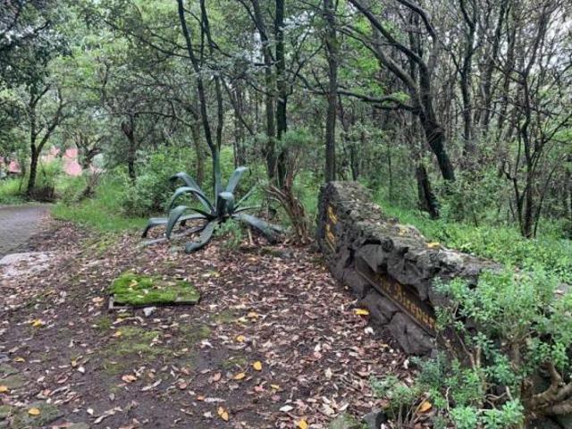 Terreno en Venta en Tlalpuente
