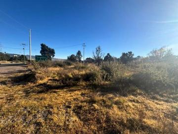 Terreno en Venta en Tlaxcala, Ciudad Industrial Xicohtencatl