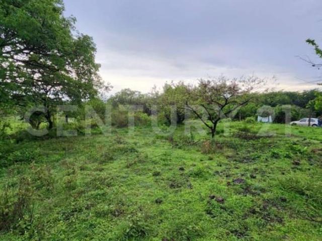 TERRENO EN VENTA EN TLAYACAPAN