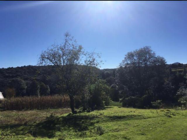 TERRENO EN VENTA EN TLAZALA DE ISIDRO FABELA