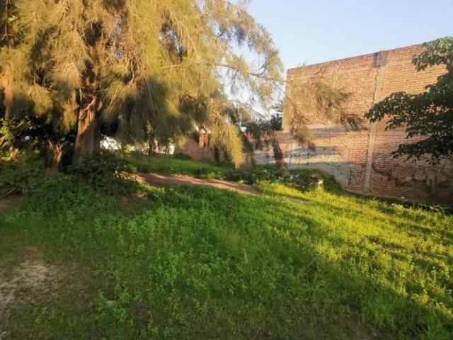 Terreno en Venta en Toluquilla Jesus Michel Gonzalez