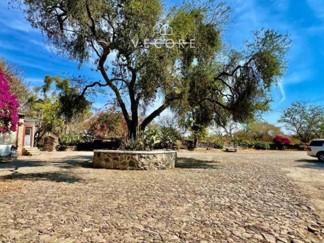 TERRENO EN VENTA EN TONALÁ, JALISCO