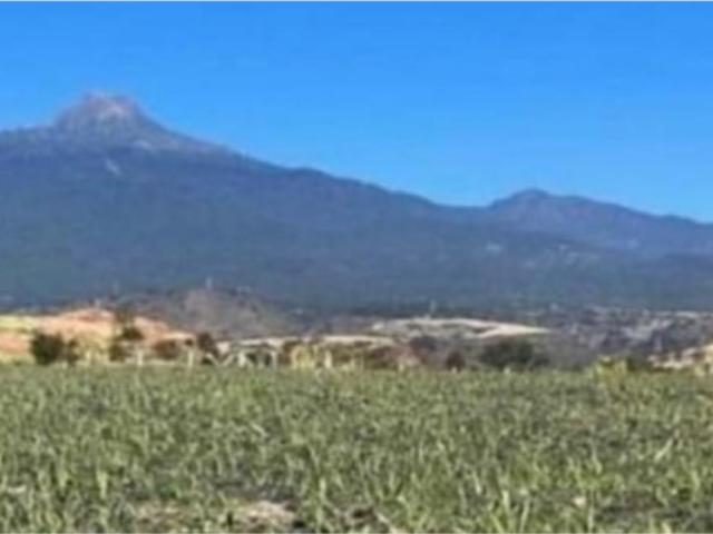 Terreno en venta en Tonila Centro, Tonila, Jalisco