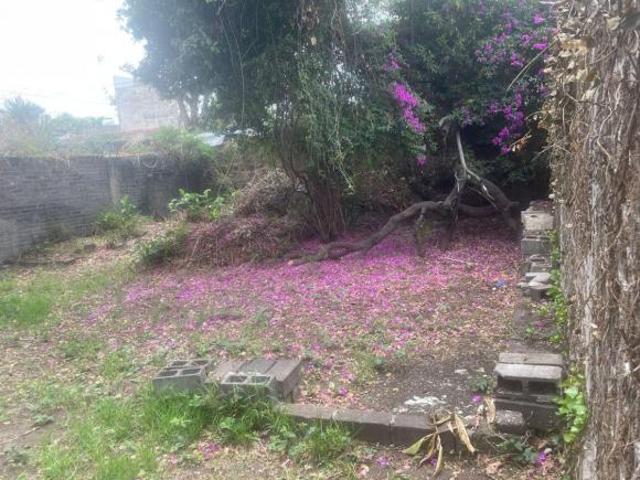 Terreno en Venta en Toriello Guerra, Tlalpan