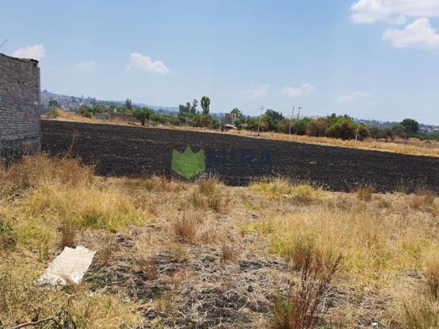 TERRENO EN VENTA EN TORREON NUEVO POR SALIDA SALAMANCA, Torreón Nuevo