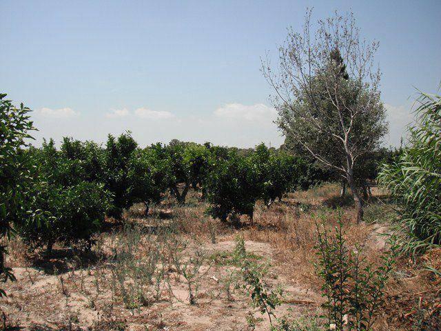 Casa rústica / Caserío en Venta en Tortosa