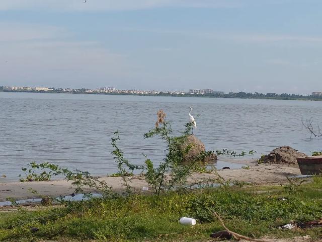 Terreno en venta en Tres Palos, Acapulco de Juárez, Guerrero