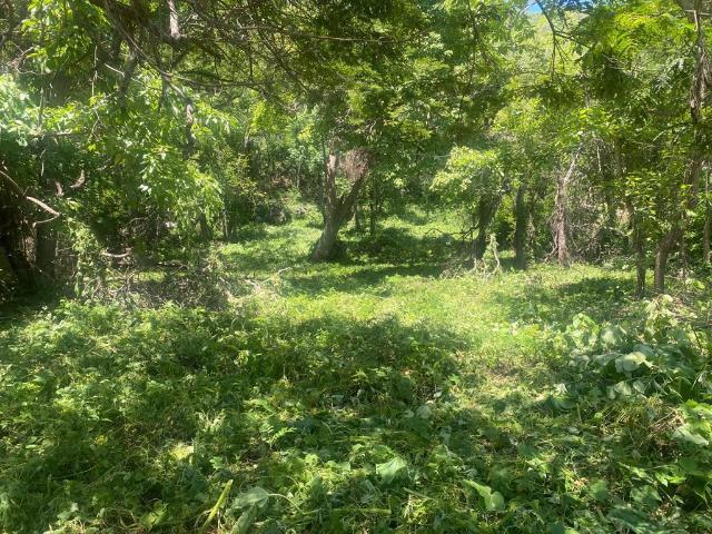 Terreno en venta en Troncones