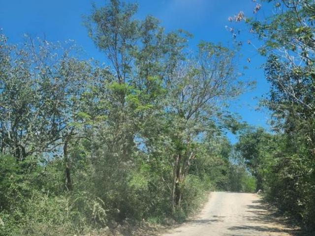 TERRENO EN VENTA EN VALLADOLID CAMINO A CHICHIKÁN