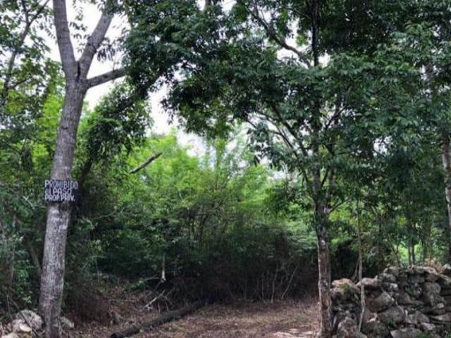 TERRENO EN VENTA EN VALLADOLID YUC. 9.6HA