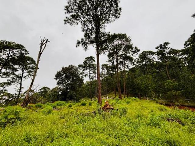 Terreno en venta en Valle de Bravo a 5 minutos de Avándaro