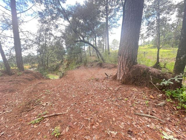 Terreno en venta en Valle de Bravo, San Simon