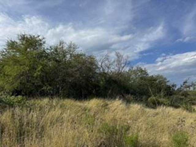 Terreno en Venta en Valle de Venado Zona Carr. Nacional LJGC