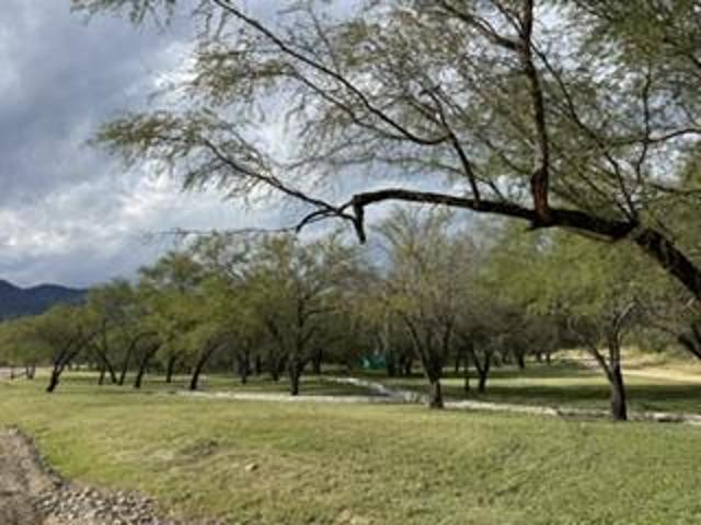 Terreno en Venta en Valle de Venado Zona Carr. Nacional LJGC
