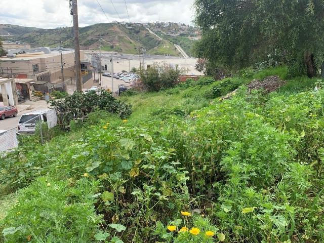 Terreno en venta en Valle del Rubí Sección Terrazas, Tijuana, Baja California