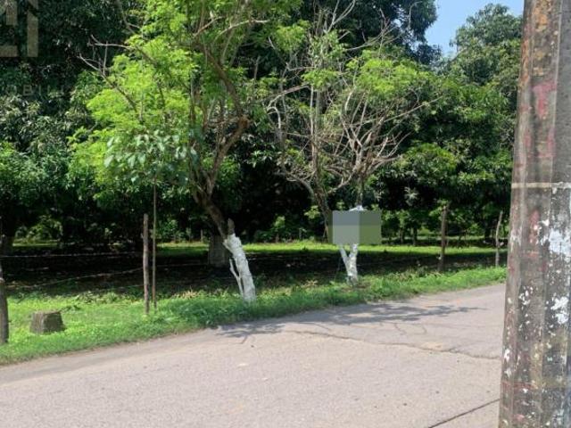 Terreno en venta en Veracruz, El Tejar, 3,124 m² a 15 min de Plaza las Americas